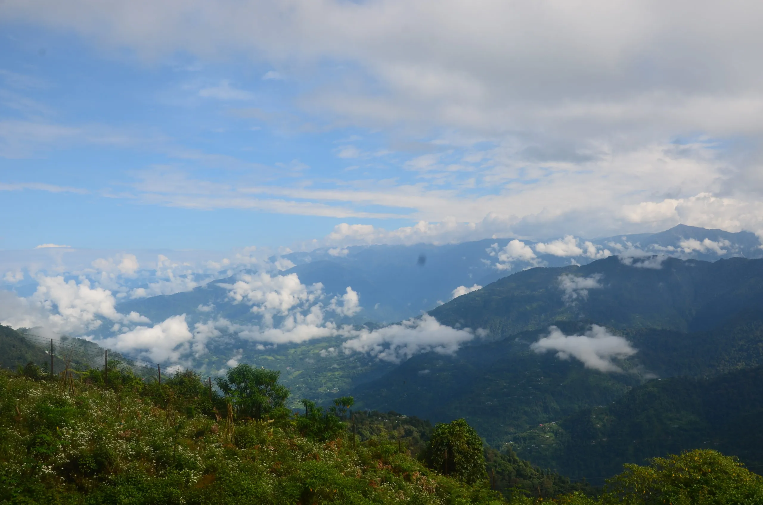 Lava - Lolegaon - Rishop